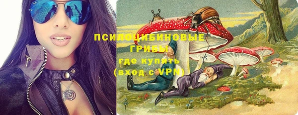 МДПВ Верхний Тагил
