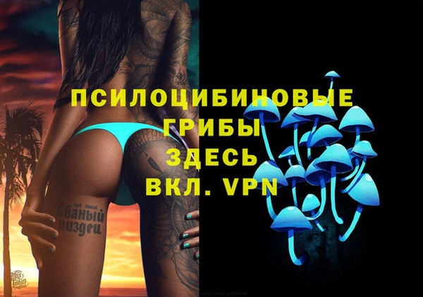 тгк Верея