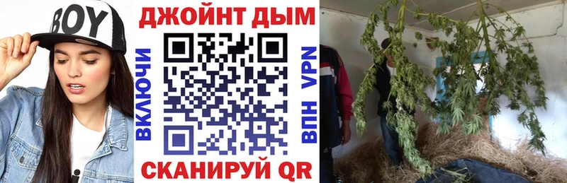 что такое наркотик  Верея  Конопля сатива 